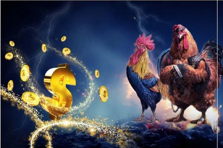 Khám Phá Thế Giới Đá Gà Vin777 Đỉnh Cao Kịch Tính Nhất 2025