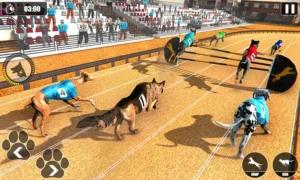 Thống Trị Đường Đua Ảo Với Cách Chơi Game Đua Chó Tại Vin777 1 Thống Trị Đường Đua Ảo Với Cách Chơi Game Đua Chó Tại Vin777
